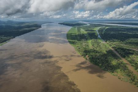 Luftaufnahme des Amazonasgebietes