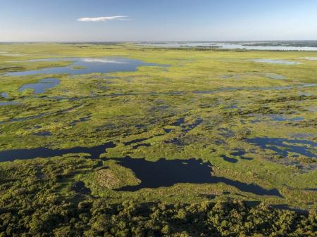 Luftaufnahme Nord-Pantanal