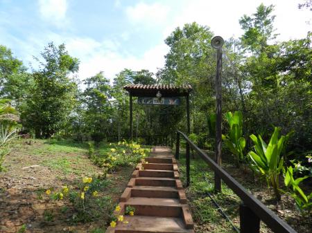 Blick vom Bootsanleger der Turtle Lodge nach oben