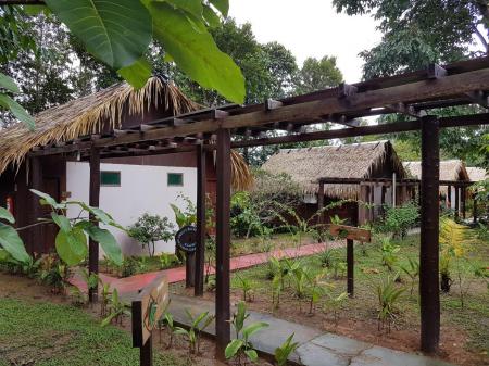 Wege zwischen den Bungalows der Amazon Turtle Lodge