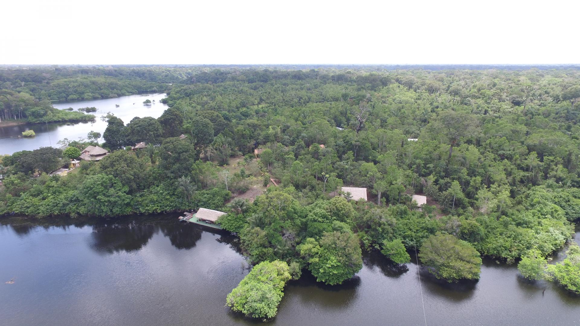 Brasilien Amazonasgebiet: 4 Tage Reisebaustein - Turtle Lodge Pupunha Paket: Drohnenbild des Dschungels