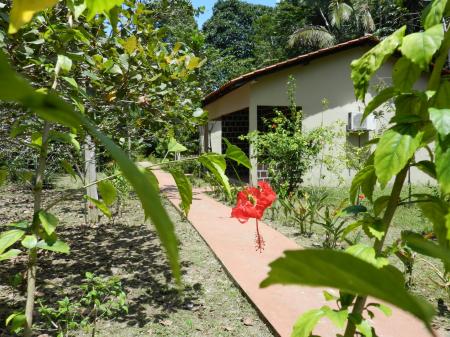 Bungalow mitten im Grünen der Turtle Lodge