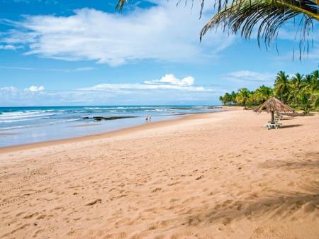 Menschenleerer Sandstrand mit Palmen auf der Insel Boipeba in Bahia