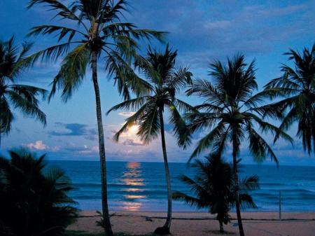 Sonnenuntergang zwischen Palmen an einem Strand in Boipeba, Bahia