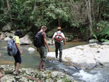 Wanderung im Atlantischen Regenwald