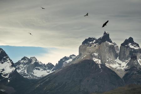 Begeben Sie sich auf eine Trekkingtour durch Patagonien in Chile