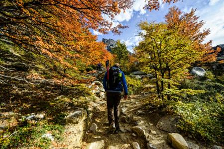 Entdecken Sie den Torres del Paine Nationalpark in Chile auf Ihrer Patagonien Rundreise