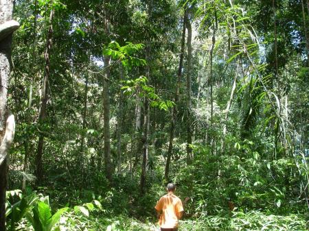 Erleben Sie die atemberaubende Natur Venezuelas in der Umgebung um Caura