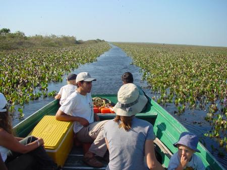 Begeben Sie sich mit uns auf Tiersafari in Los Llanos in Venezuela in Form einer Bootstour