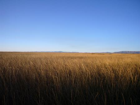 Den Titicaca See auf einer Rundreise in Bolivien erleben