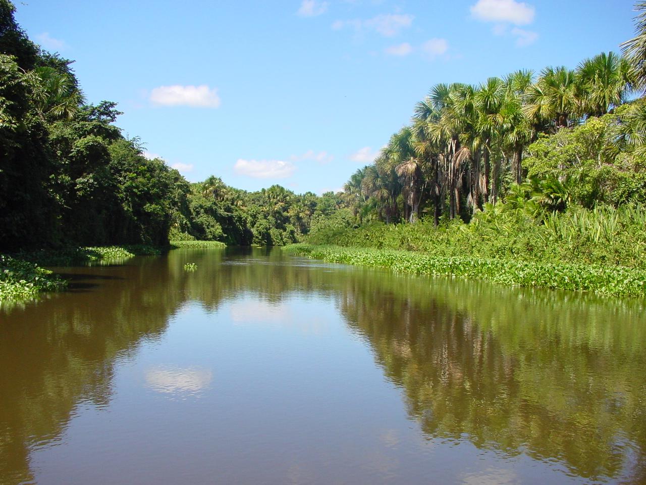 Entdecken Sie die Umgebung des Orinoco Deltas auf einer Rundreise durch Venezuela