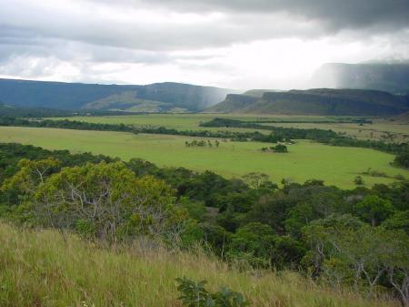 Erleben Sie die Kontraste der Landschaft in Gran Sabana auf Ihrer Reise durch Venezuela