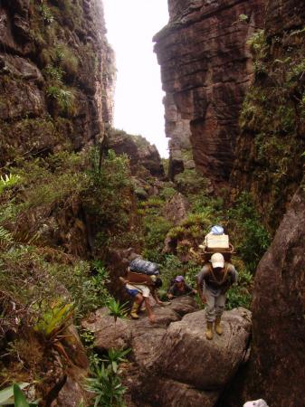 Auf einer Trekkingreise durch Venezuela entdecken Sie den Tafelberg Auyan