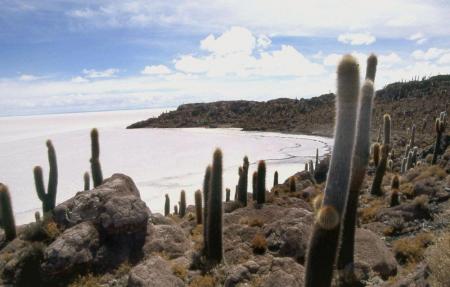 Unternehmen Sie einen Ausflug im unbeschreiblichen Salar de Uyuni in bolivien