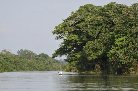 Die tropische Natur des Amazonasgebiets in Kolumbien auf einer Rundreise erleben