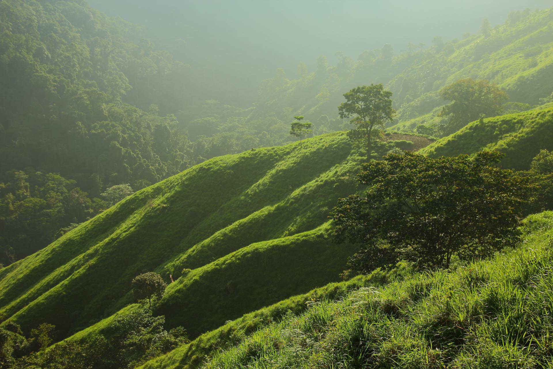 Unter blauem Himmel und umgeben von dichtem Urwald liegen die Terrassenanlagen der Ciudad Perdida vor uns