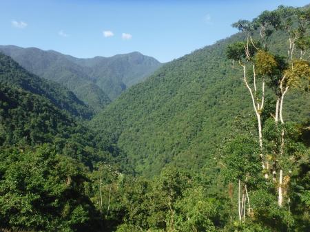 Auf einer aktiven Trekkingtour begeben Sie sich auf den Weg zur Ciudad Perdida