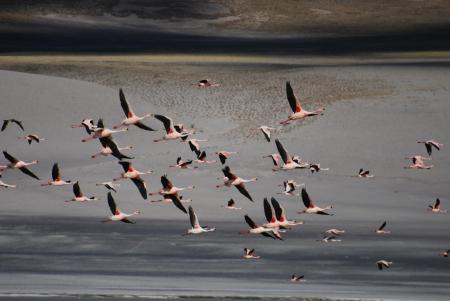 Begeben Sie sich auf einen Ausflug zur Laguna Grande im Norden Argentiniens