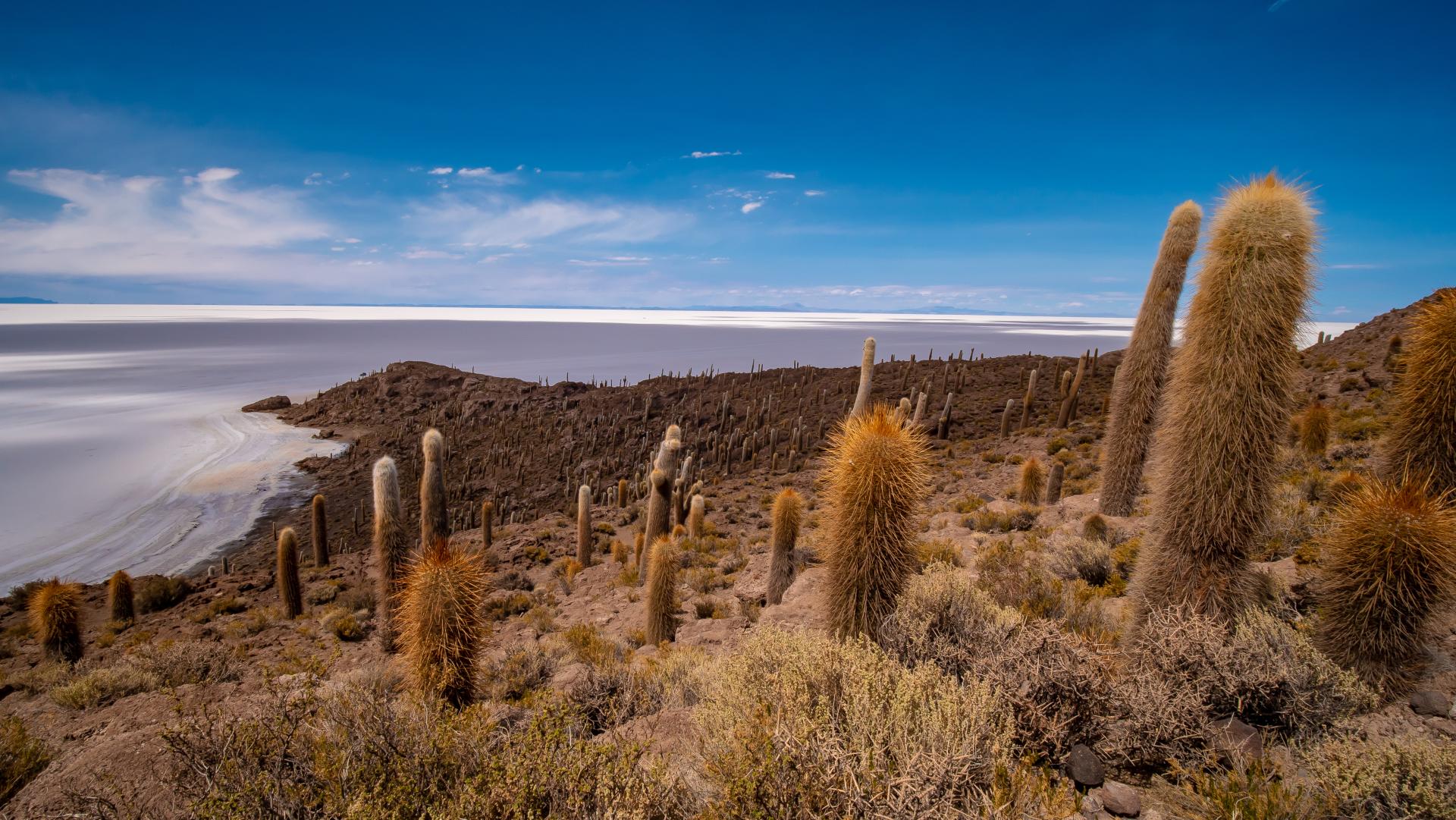 Erleben Sie die Uyuni Salzwüste auf einer Rundreise in Bolivien