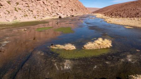 Die Umgebung von San Pedro de Atacama hat wunderschöne Landschaften zu bieten