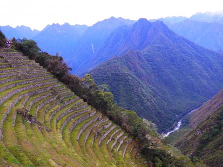 Entdecken Sie die alten Terrassen der Inka auf dem Weg nach Machu Picchu