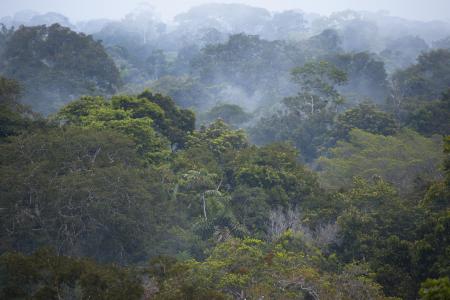 Auf dieser Ecuador Rundreise erleben Sie das Amazonasgebiet des Landes hautnah