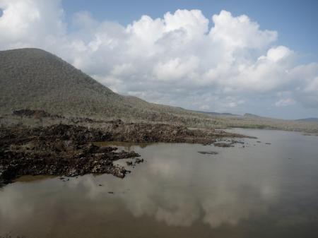 Entdecken Sie die einzigartigen Galapagos Inseln in Ecuador auf einer Kreuzfahrt