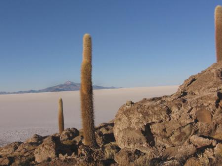 Erkunden Sie den bekannten Salar de Uyuni auf Ihrer Bolivien Reise