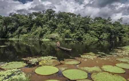 Bootsfahrt auf dem Amazonas auf einem einfachen Boot erleben