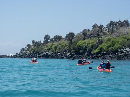 Erleben Sie eine unvergessliche Rundreise durch die Galapagos Inseln in Ecuador