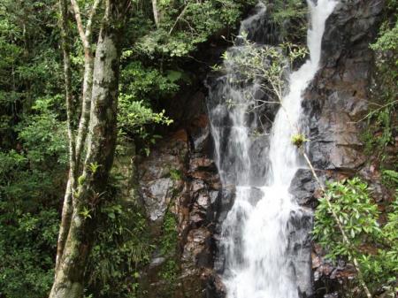 Wasserfall im Atlantischen Regenwald in Santa Catarina, Südbrasilien