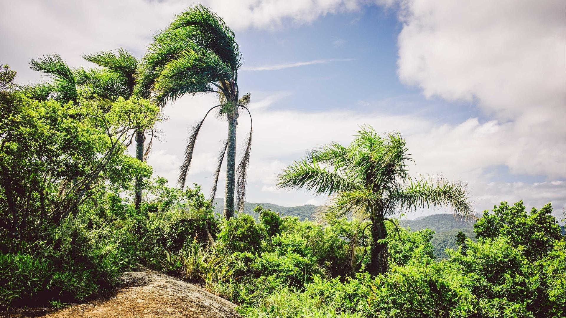 Brasilien Florianópolis Estaleiro: 5 Tage Reisebaustein 