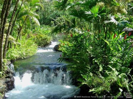 Auf einer Rundreise durch Costa Rica entspannen Sie sich in den heißen Quellen am Vulkan Arenal