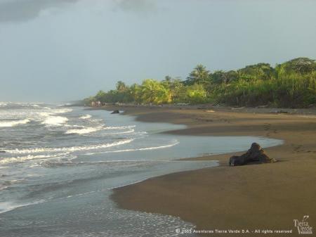 Erleben Sie den Tortuguero Nationalpark in Costa Rica auf einer Rundreise