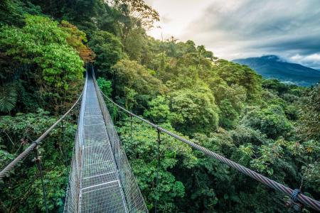 Erleben Sie den Regenwald in Costa Rica von oben auf einer Wanderung über Hängebrücken