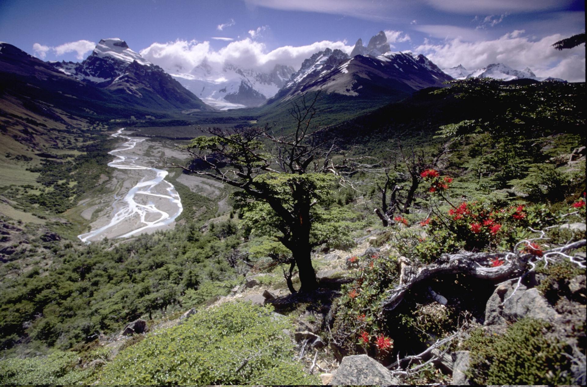 Entdecken Sie die Natur Patagoniens auf Ihrer Argentinien Rundreise