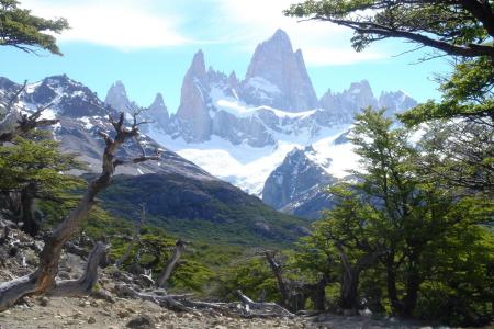 Reisen Sie nach Patagonien und entdecken Sie die einmalige Natur des Fitz Roy