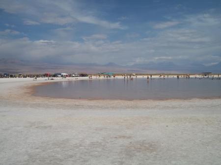 Besuchen Sie die Salzlagunen der Atacama Wüste in Chile