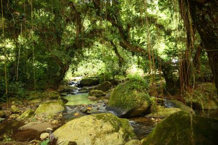 Endecken Sie die präkolumbianische Ausgrabungsstätte Ciudad Perdida auf einer aktiven Trekkingtour