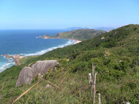 Atlantischer Regenwald um die Lagoinha do Leste