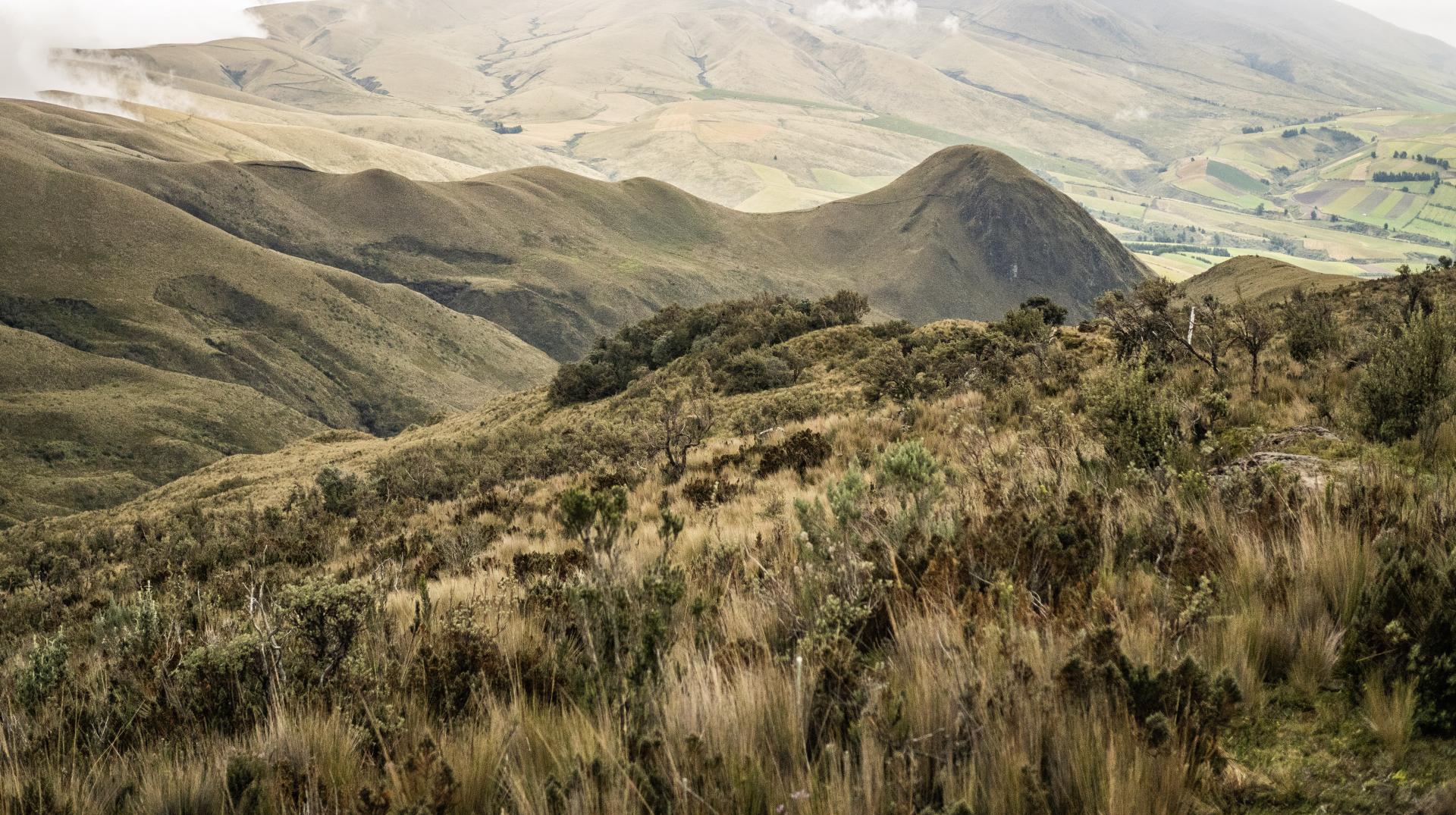 Erkunden Sie die einmalige Welt der Galapagos Inseln in Ecuador