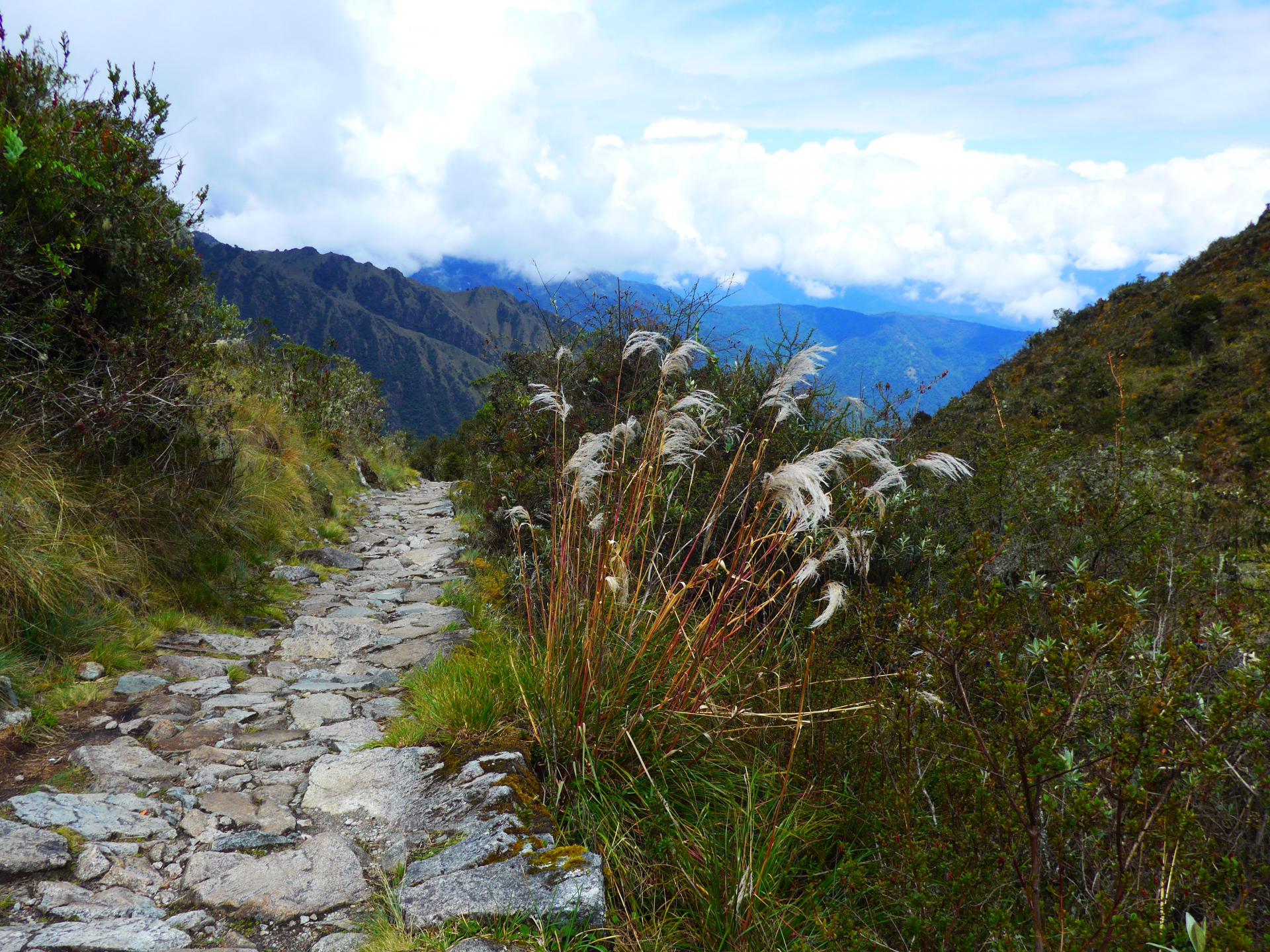 Erleben Sie eine Wandertour von Salkantay nach Machu Picchu in Peru