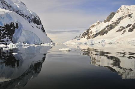 Erleben Sie die Antarktis auf einer Kreuzfahrt hautnah mit uns