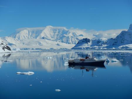 Unternehmen Sie eine traumhafte Kreuzfahrt in die Antarktis auf dem Kreuzfahrtschiff Ushuaia