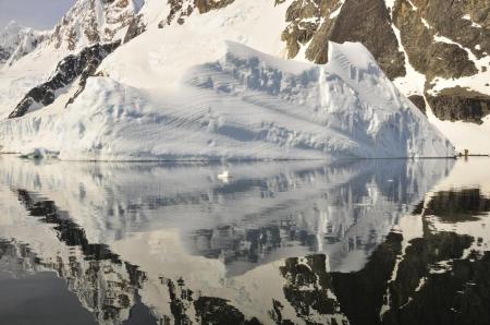 Erleben Sie eine unvergessliche Antarktis Kreuzfahrt auf der Ushuaia mit uns