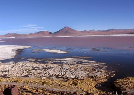 Besuchen Sie die einzigartige Laguna Colorada auf einer Rundreise in Bolivien