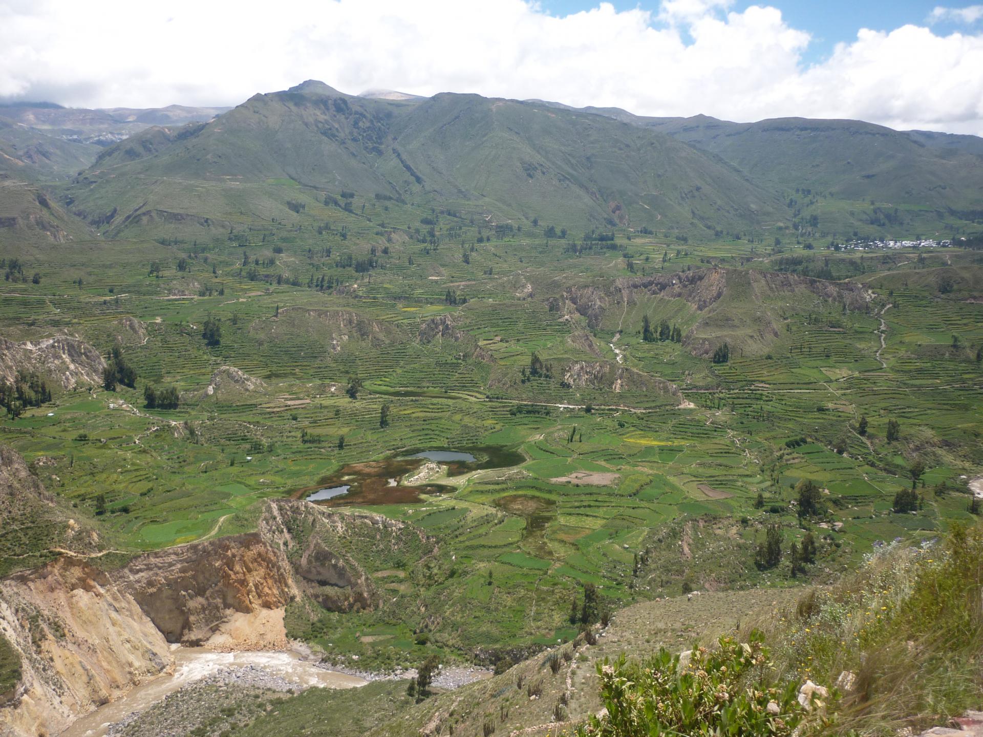 Erleben Sie den Colca Canyon auf einer Peru Reise