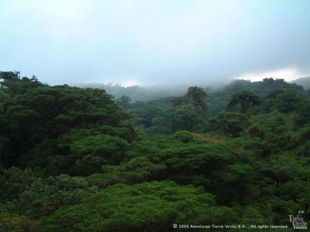 Erleben Sie die wunderschöne Landschaft im Monteverde Nationalpark in Costa Rica