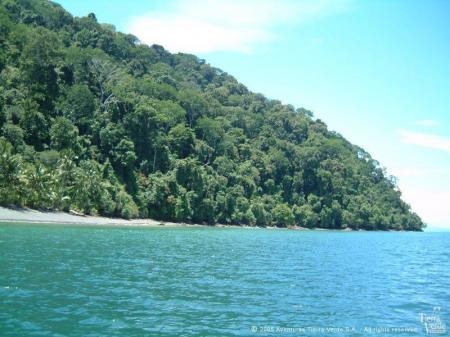 Erleben Sie ein Regenwald Abenteuer in der Esquinas Lodge am Golfo Dulce in Costa Rica