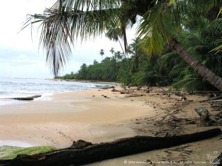 Entdecken Sie die tropischen Strände in Costa Rica